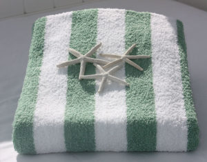 The Furies Cape Cod Linen Rental – Beach Towel
