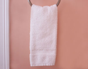 The Furies Cape Cod Linen Rental – Hand Towel