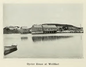 Wellfleet Oyster Shacks 1898